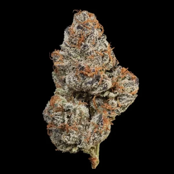 Trop Cherry Gas Sativa – High 28% THC