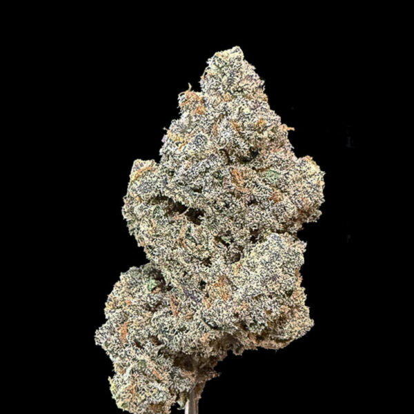 Frozen Joker Hybrid – High 30% THC & Low CBD