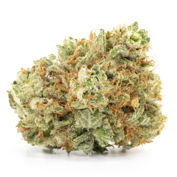 Lemon Ice Sativa – 22% THC & Low CBD