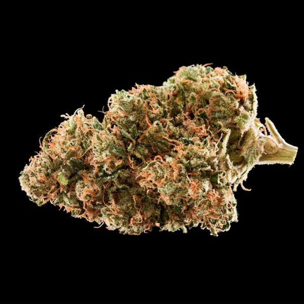 Sour Diesel Sativa – High THC & Low CBD – Energizing Flower for Focus