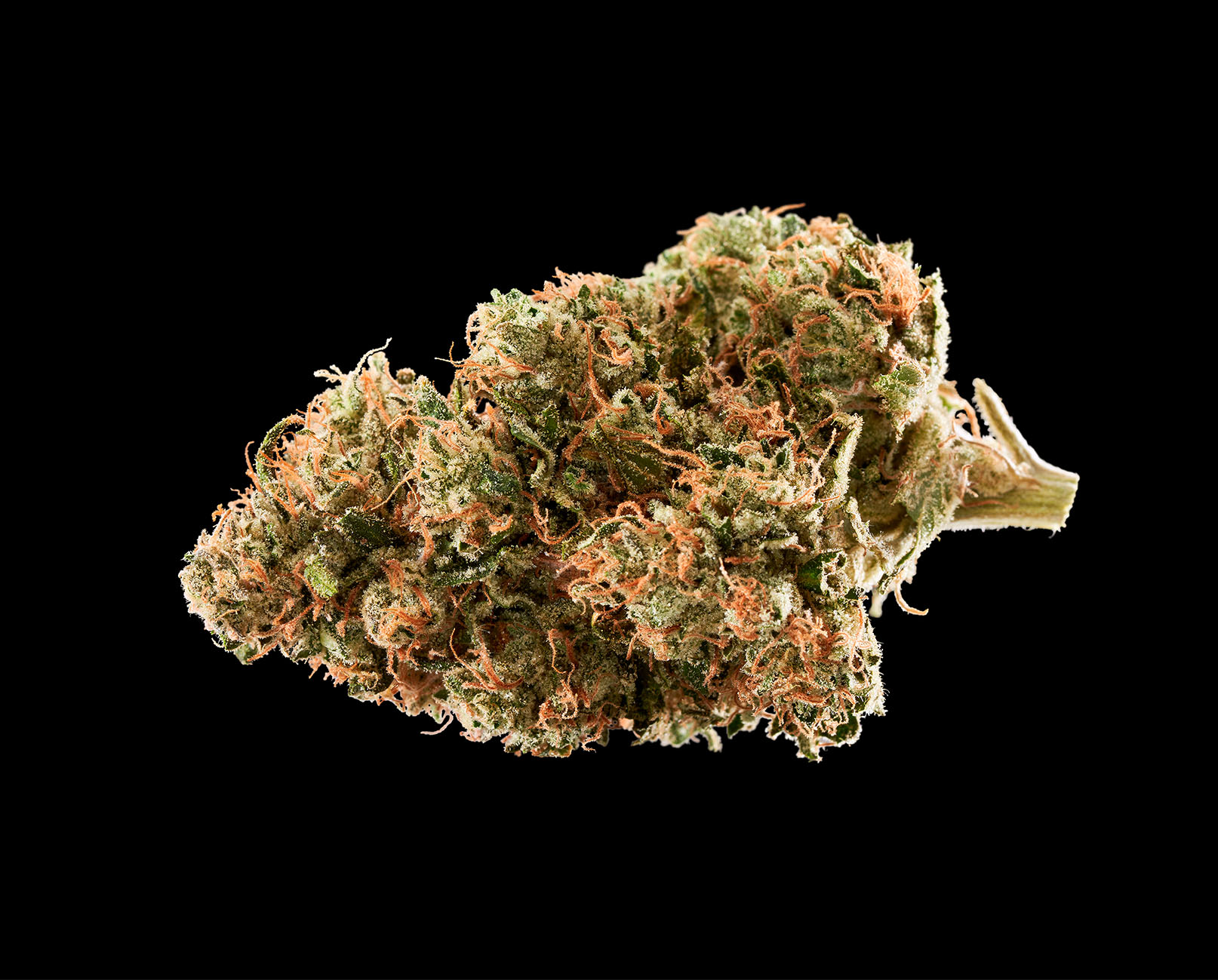 Sour-Diesel-Marijuana-Strain-Information