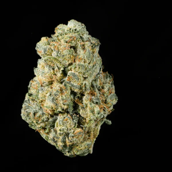 Jack Herer Sativa Flower – Mid-to-High THC & Low CBD – Clear-Headed Focus & Creativity